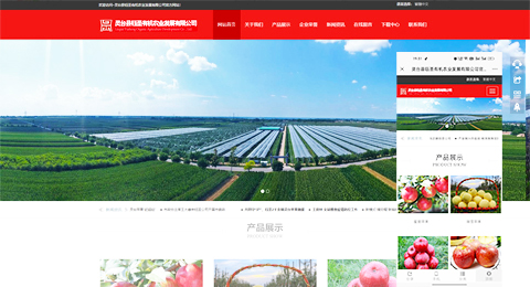 企業(yè)網(wǎng)站、程序軟件App解決方案